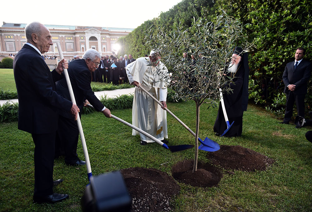 Israeli President Shimon Peres, Palestinian President Mahmoud Abbas, Pope Francis and Ecumenical Patriarch Bartholomew of Constantinople plant an olive tree after an invocation for peace in the Vatican Gardens June 8, 2014. (CNS/Cristian Gennari, pool)