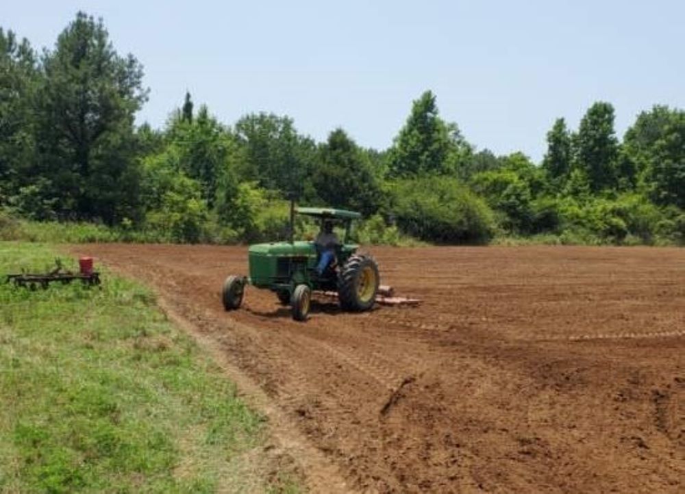 The ground is prepared for planting on John Brown's farm in Dallas County, Alabama.
