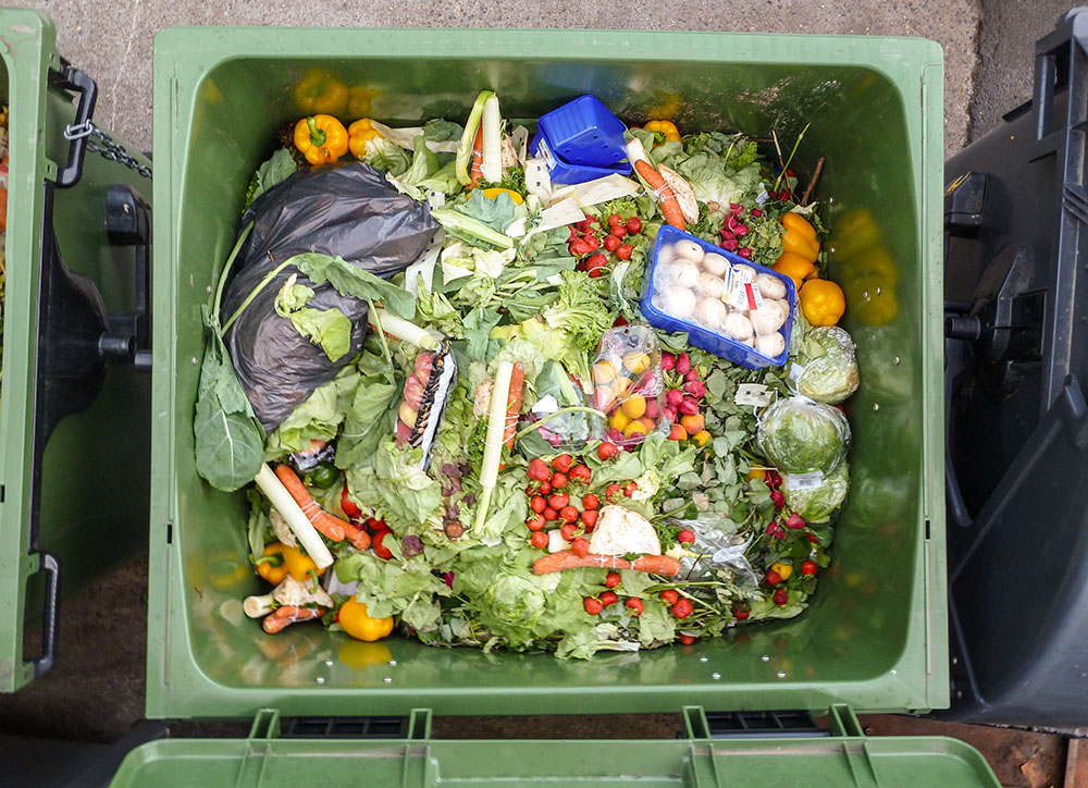 Discarded food is seen in a trash bin outside a store. "Forty percent of all food grown around the world for human consumption is wasted," Sally Geislar, assistant professor of environmental studies at St. Mary's College in Notre Dame, Indiana, said during an April 9 panel on food waste. (Wikimedia Commons/Foerster)
