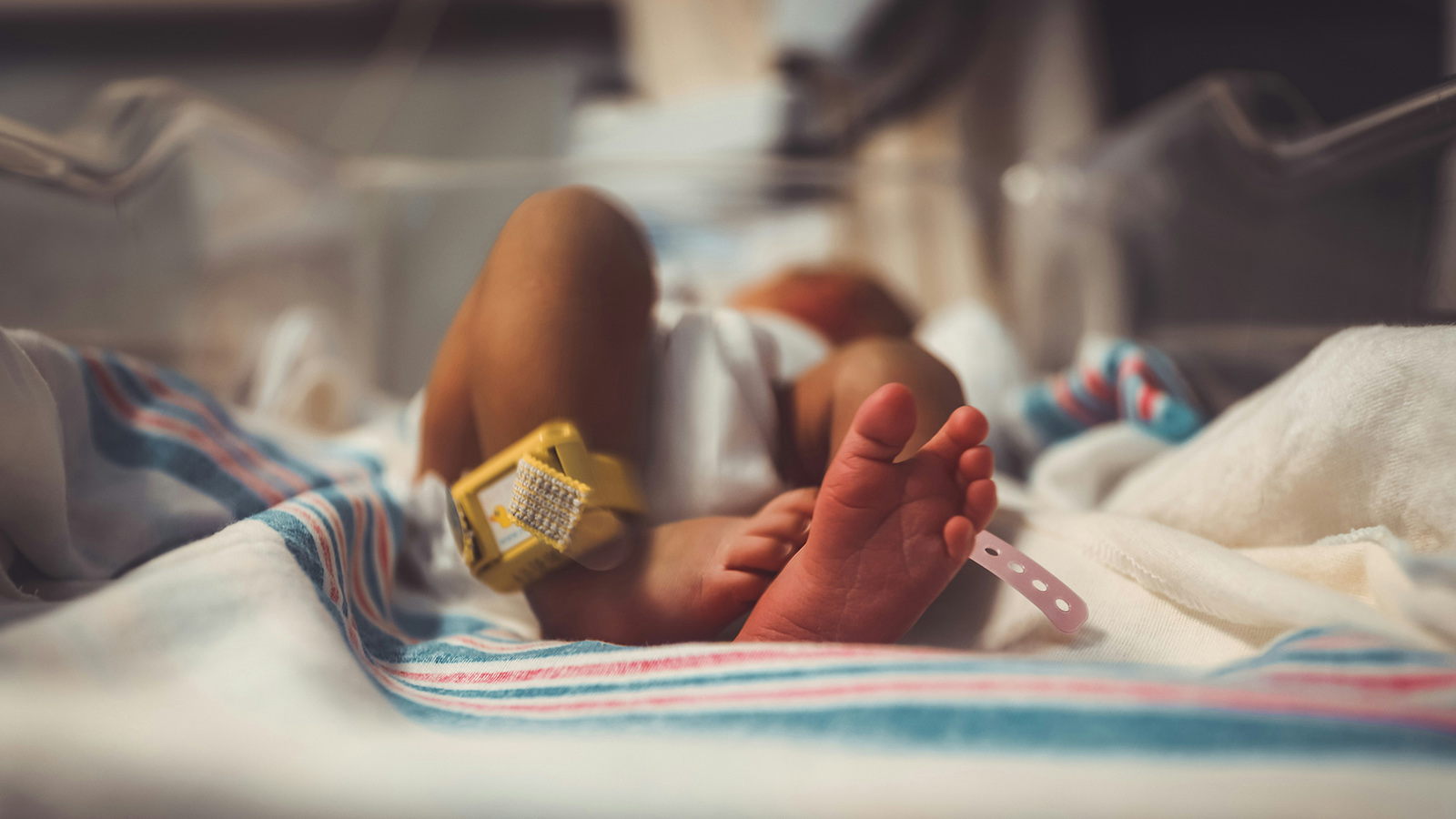 a baby in hospital crib
