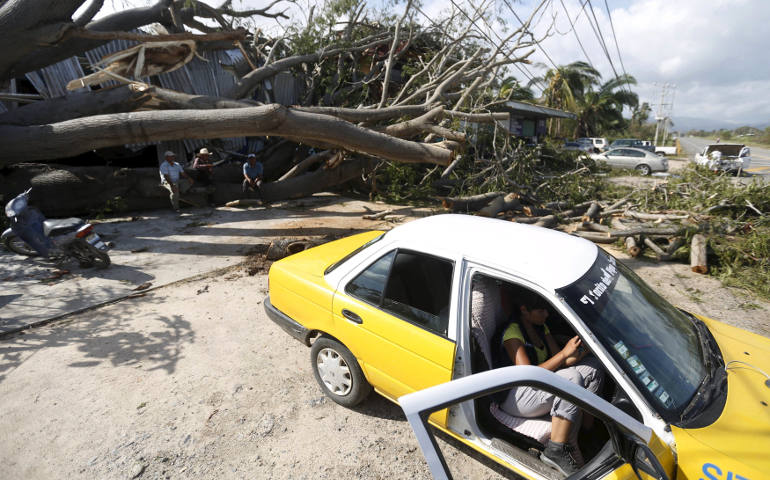 A person sits in a car by a felled tree in Melaque, Mexico, Oct. 24. Hurricane Patricia made landfall Oct. 23 along its Pacific Coast with Category 5 strength, but left surprising little damage and few deaths. (CNS photo/Edgard Garrido, Reuters)
