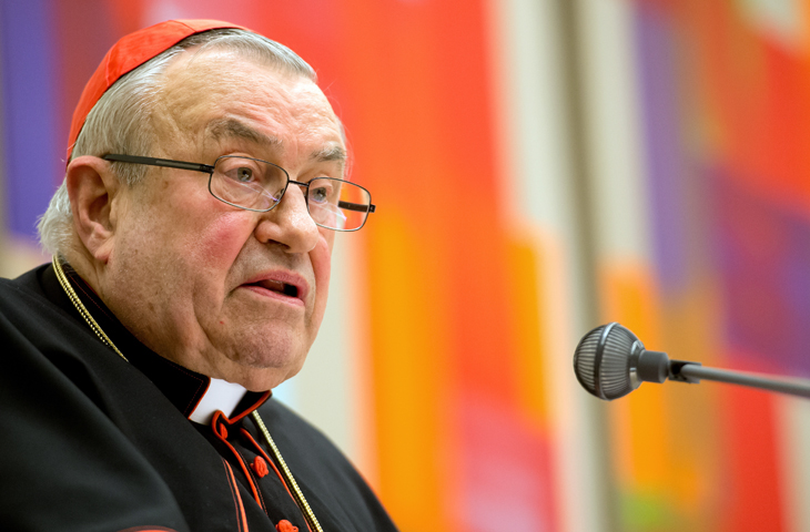Cardinal Karl Lehmann of Mainz, Germany, pictured in a 2014 photo. (CNS/SvenHoppe, EPA)