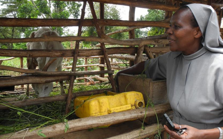 Sr. Ernestine Akulu with one of the goats on the demonstration farm next to the Bishop Caesar Alisi Hospital in Luweero, Uganda (Melanie Lidman)