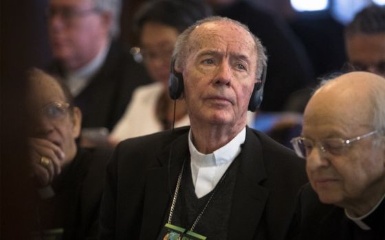 Brazilian Cardinal Claudio Hummes, relator general for the upcoming Synod of Bishops on the Amazon, listens to a presentation in French during the Integral Ecology summit at Georgetown University in Washington March 19. (CNS/Tyler Orsburn)