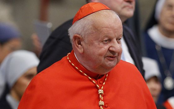 Cardinal Stanislaw Dziwisz of Krakow, Poland, at the Vatican in 2018 (CNS/Paul Haring)