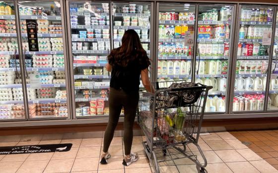 A woman stands in front of grocery store refrigerators with a shopping cart