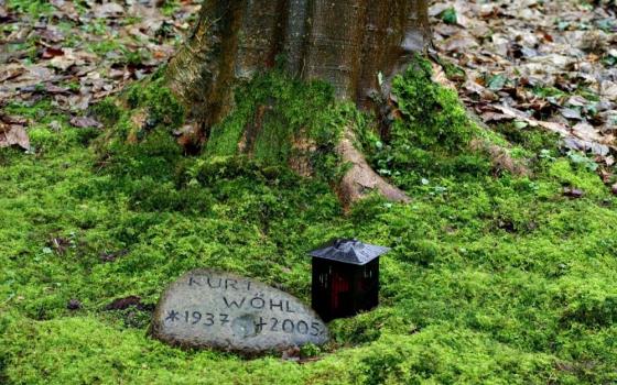 Rock with deceased person's name sits near tree.