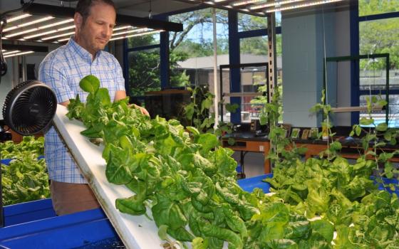 Michael "Mick" Burkett, science department chair at Bishop Walsh School in Cumberland, Md., shows the progress of lettuce in the school's aquaponic lab May 25, 2023. (OSV News/George P. Matysek Jr., Catholic Review)