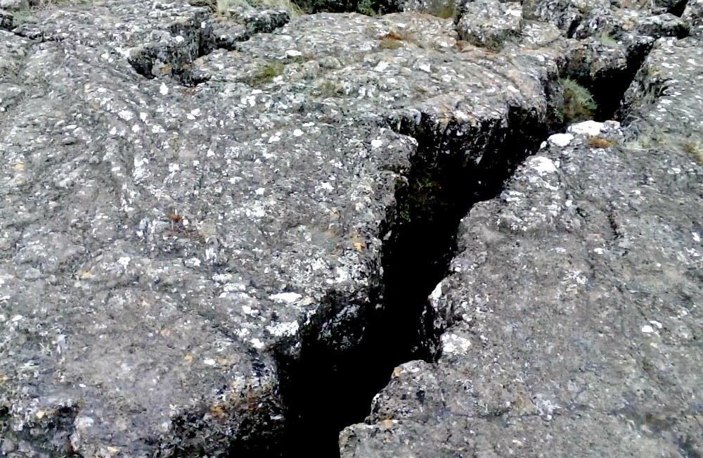 "The weaknesses, the imperfections, the faults facilitate the evolution of a system," says geologist Xavier Le Pichon. (Wikimedia Commons/Reykholt) "The weaknesses, the imperfections, the faults facilitate the evolution of a system," says geologist Xavier Le Pichon. (Wikimedia Commons/Reykholt)