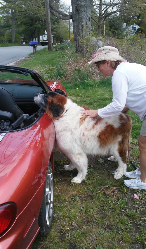 Ambrose considers how he will get into a convertible. (Provided photo)