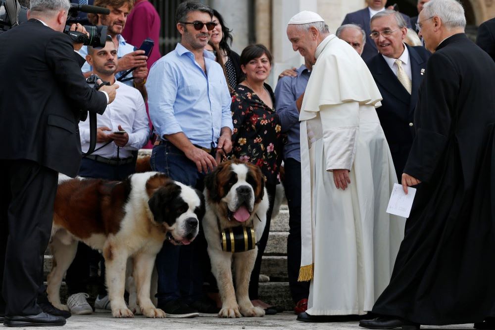 Pope Francis greets dog owners during his general audience in St. Peter's Square at the Vatican in this Sept. 19, 2018, file photo. (CNS/Paul Haring)