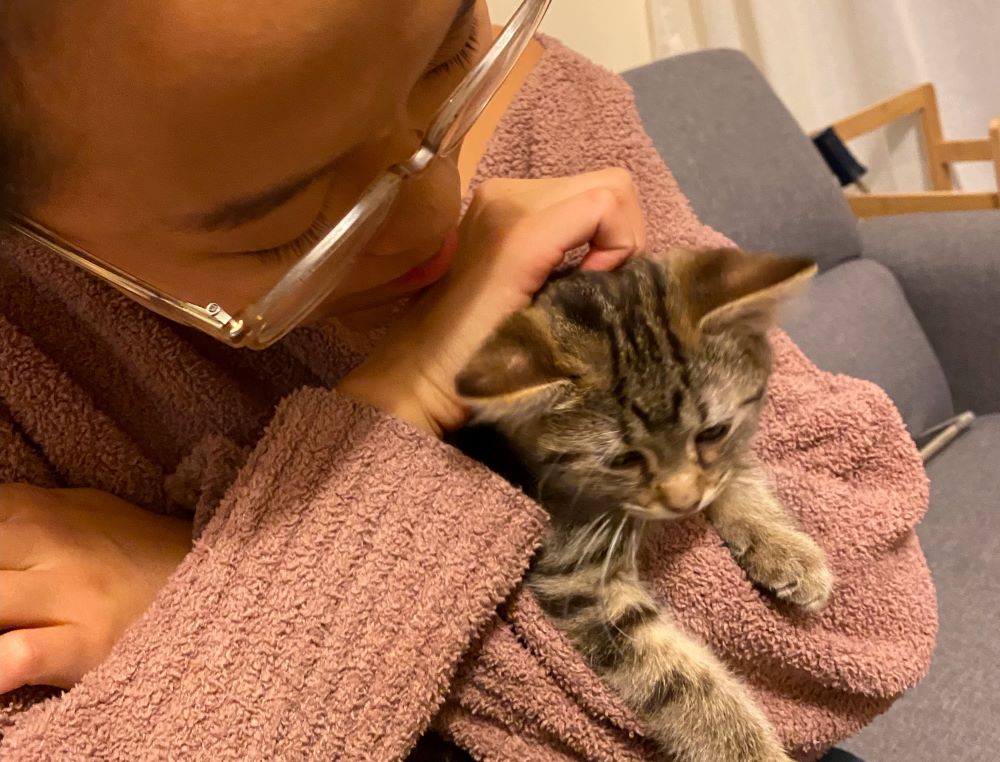 Flora x. Tang named her second foster kitty Iggy — after St. Ignatius of Loyola. (Courtesy of Flora x. Tang)