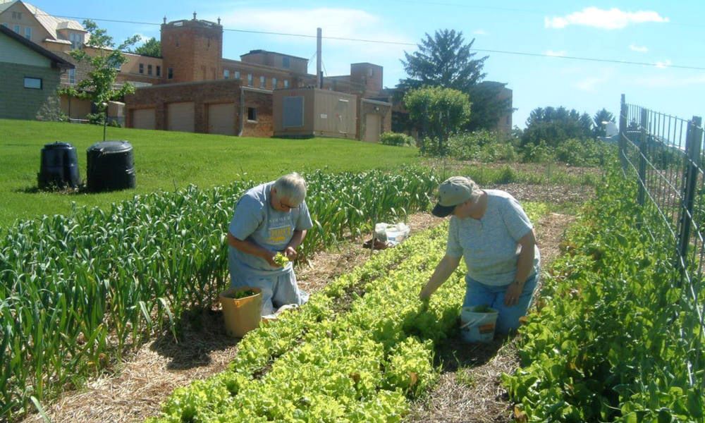 Franciscan Sisters of Perpetual Adoration work in the garden at their Greenfield, Wisconsin, property. The sisters have permanently committed the former farmland for sustainability and ecological projects. (FSPA)