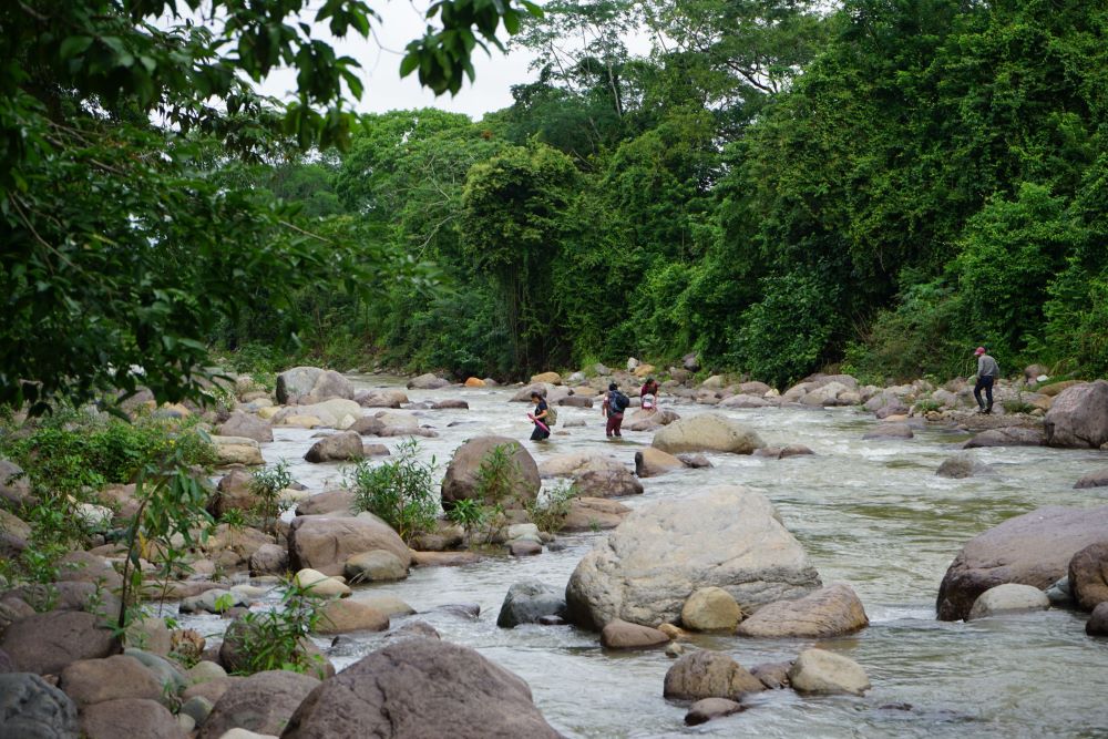 The Guapinol River trickles down the Carlos Escaleras National Park. About a decade ago, Inversiones Los Pinares received approval to build an iron oxide mine in the park. (SHARE Foundation/Mark Coplan)