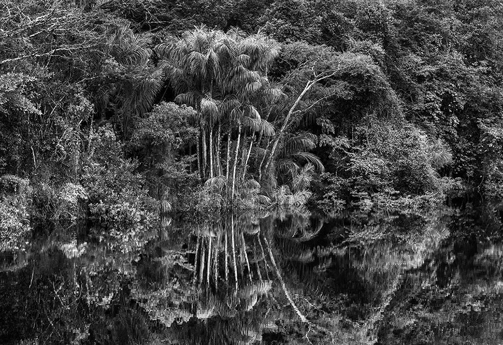 Rio Jaú in 2019 in Amazonas state, Brazil (© Sebastião Salgado/Contrasto)