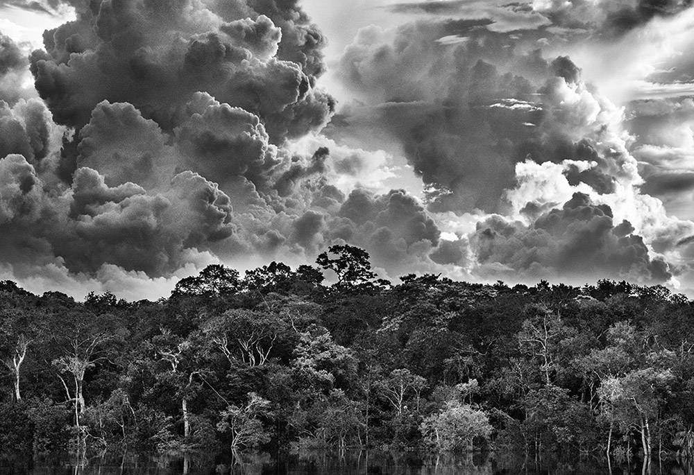 Fluvial archipelago of Mariuá, in 2019 in Amazonas state, Brazil (© Sebastião Salgado/Contrasto)