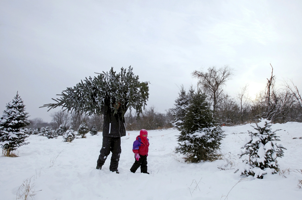 20131212nw1673 Tony Baker and his daughter Mesa take away a Christmas tree from Rum River Tree Farm in Anoka, Minnesota, in 2013. (CNS/Reuters/Eric Miller)