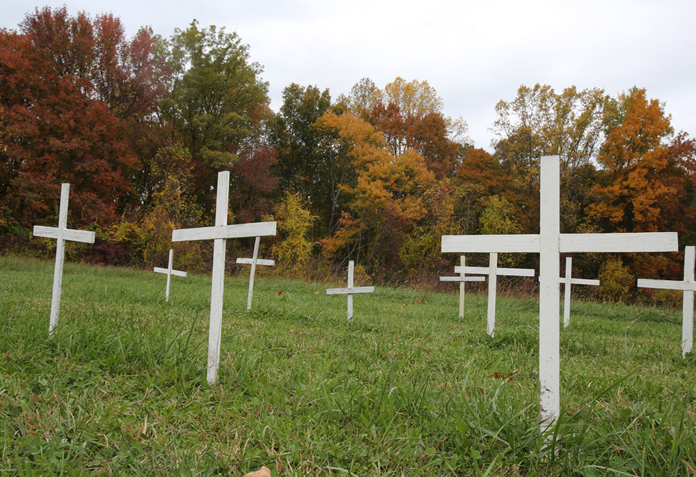 Crosses against a backdrop of fall colors are seen near Jesus the Divine Word Church Oct. 29, 2014, in Huntingtown, Maryland. The crosses represent aborted babies. (CNS/Bob Roller)
