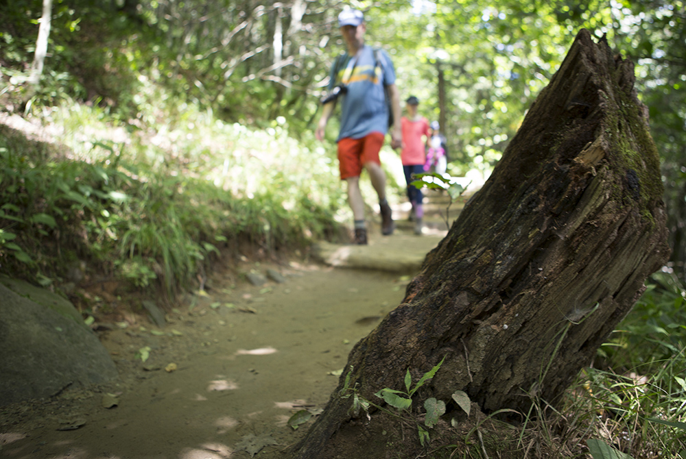 Visitors hike the Appalachian Trail in 2016 at the Great Smoky Mountains National Park.  (CNS/Chaz Muth)
