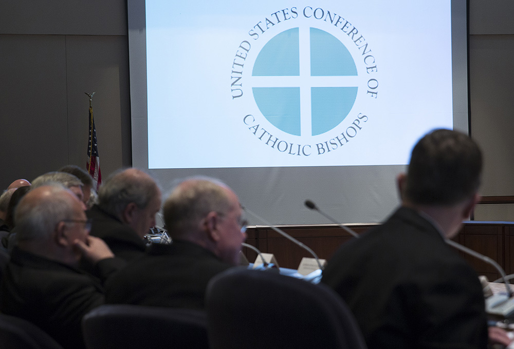 Bishops meet at the headquarters of the U.S. Conference of Catholic Bishops in Washington, D.C., in January 2018. (CNS/Tyler Orsburn)