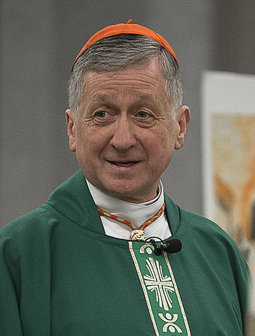 Cardinal Blase Cupich of Chicago quoted Pope Francis in the environmental encyclical Laudato Si': "Doomsday predictions can no longer be met with irony or disdain." (CNS/Tyler Orsburn)