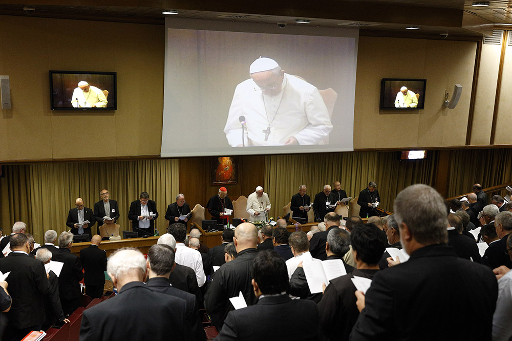 Pope Francis leads a session of the Synod of Bishops for the Amazon at the Vatican Oct. 15, 2019. (CNS/Paul Haring)