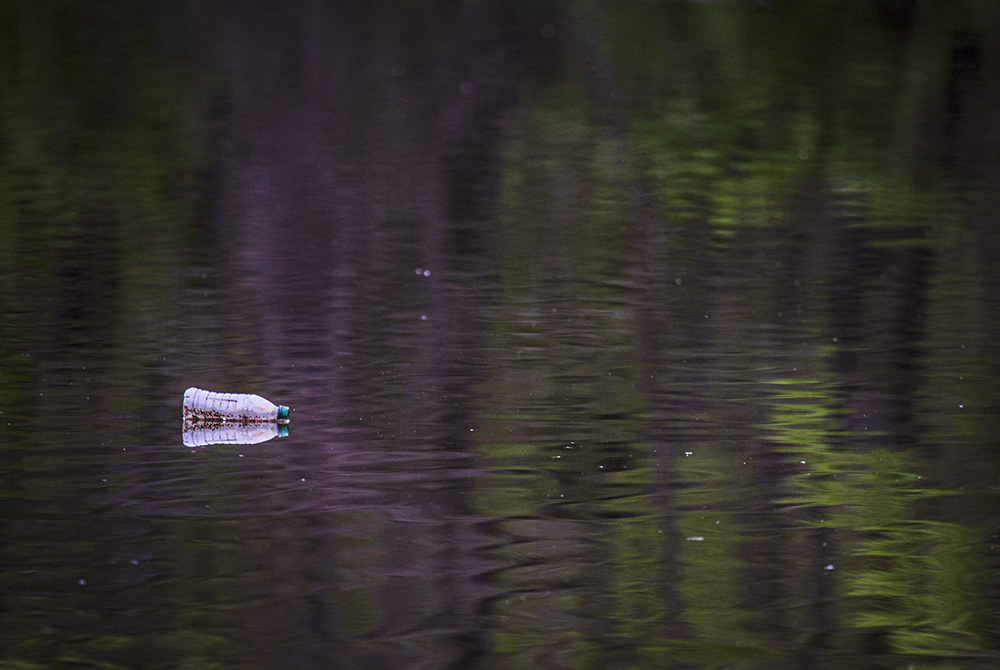 A discarded plastic bottle floats in the Anacostia River in April 2020, near Bladensburg, Maryland. (CNS/Chaz Muth)