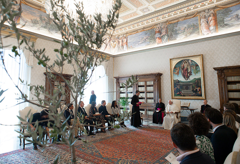 Pope Francis meets with a group of clergy and laypeople advising the French bishops' conference on ecological policies and on promoting the teaching in his encyclical, "Laudato Si', On Care for Our Common Home" Sept. 3, 2020. (CNS/Vatican Media)