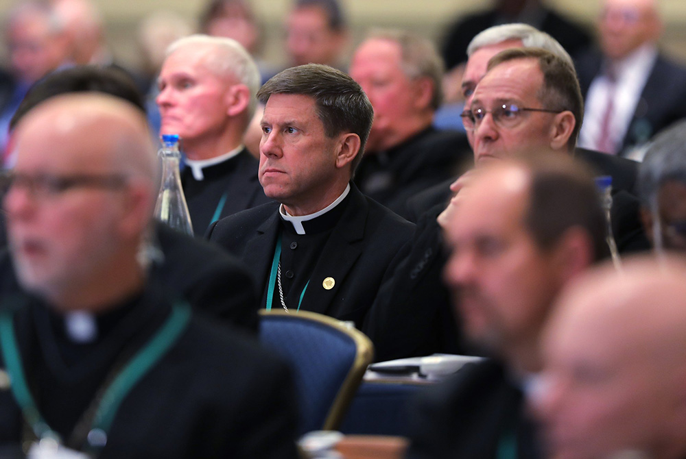 U.S. Catholic bishops attend a Nov. 11, 2019, session during the fall general assembly of the U.S. Conference of Catholic Bishops in Baltimore. (CNS/Bob Roller) U.S. Catholic bishops attend a Nov. 11, 2019, session during the fall general assembly of the U.S. Conference of Catholic Bishops in Baltimore. (CNS/Bob Roller)