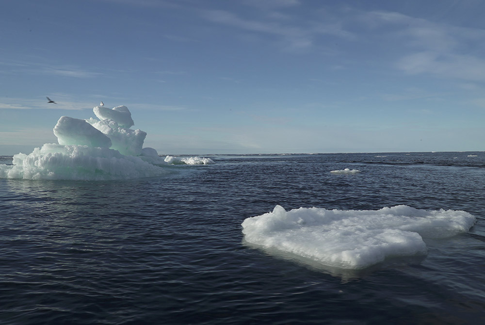 Icebergs are seen floating Sept 14 in the Arctic Ocean. European Catholic leaders warned that Arctic warming is intensifying competition over the region's resources and urged tougher policies to protect its biodiversity and Indigenous communities. (CNS/Na