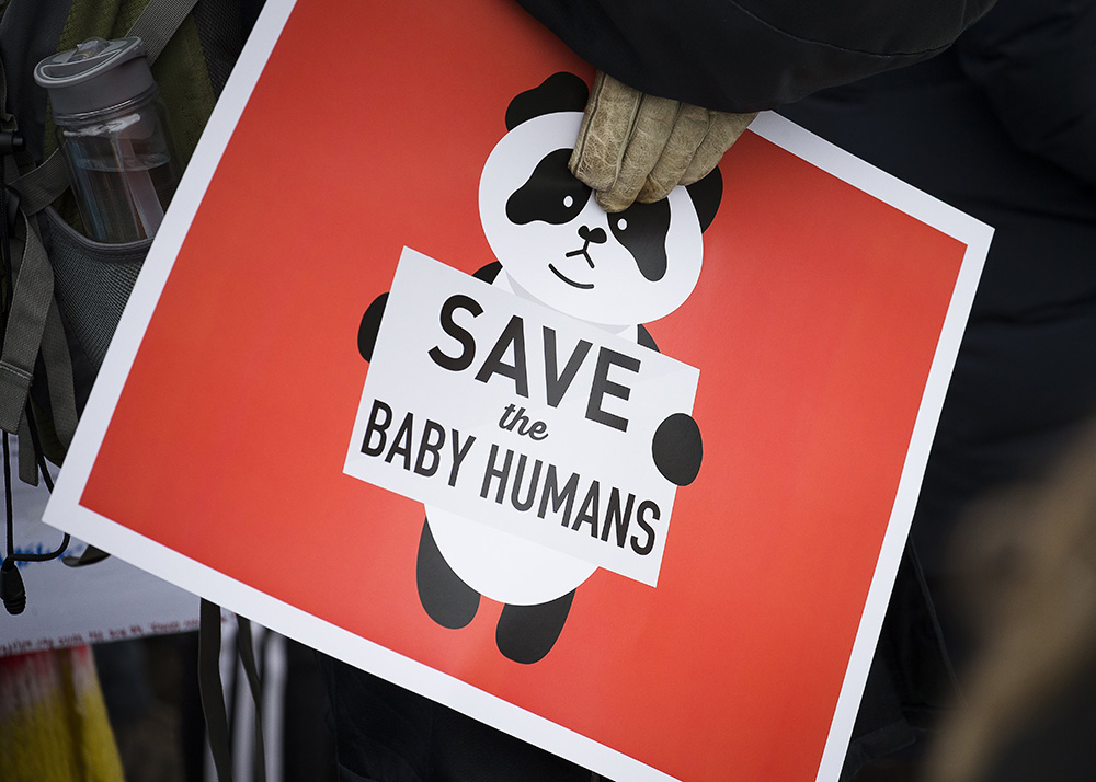 A pro-life sign is displayed during the 2019 annual March for Life rally in Washington. (CNS/Tyler Orsburn)