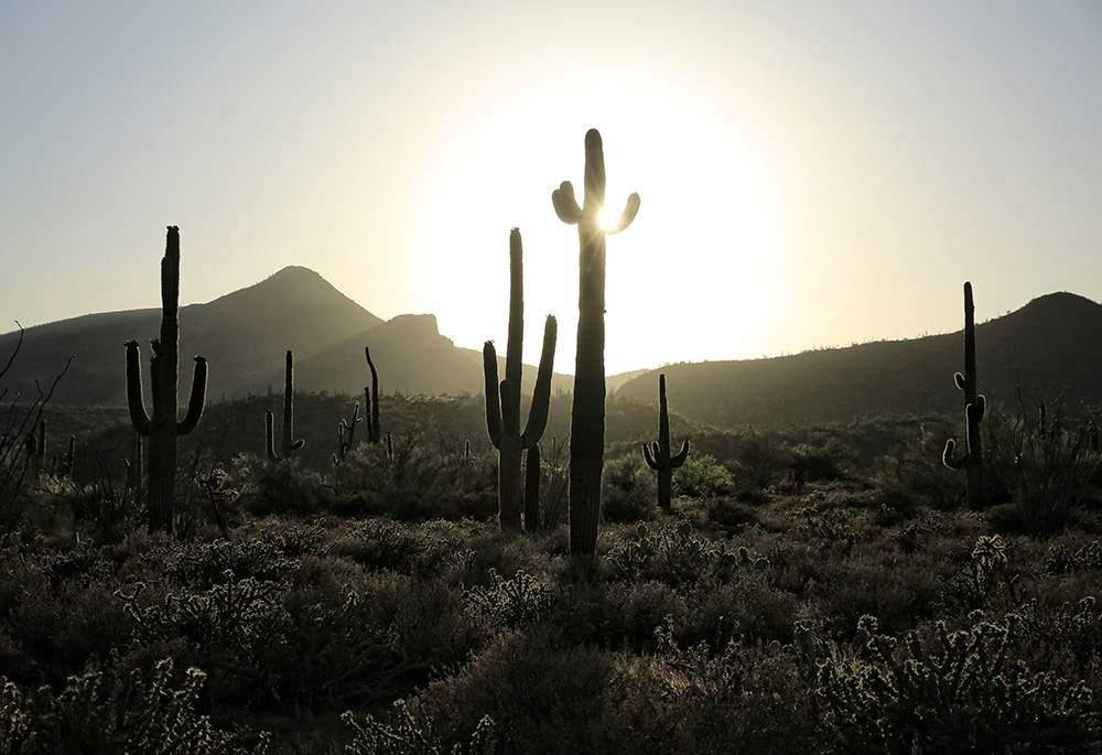 The sun sets behind a desert view in the Spur Cross Ranch Conservation Area in Cave Creek, Arizona. Jesus' desert sojourn began immediately after his baptism where he heard God proclaim, "You are my beloved Son; with you I am well pleased." (CNS/Nancy Wie