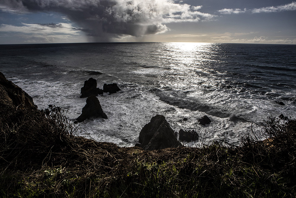 Views of the Pacific Ocean can been seen at Sonoma Coast State Park in Bodega Bay, California, in this Jan. 28 photo. (CNS/Chaz Muth)