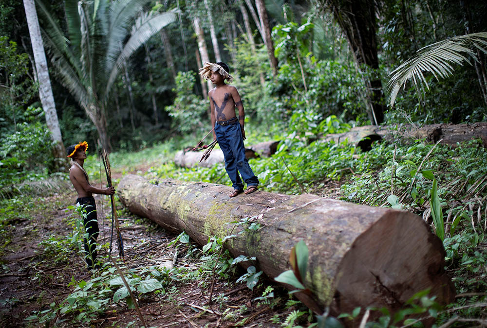 An Indigenous man and child of the Uru-eu-wau-wau tribe are pictured in a 2019 photo inspecting an area deforested by invaders on Indigenous land near Campo Novo de Rondônia, Brazil. (CNS/Reuters/Ueslei Marcelino)