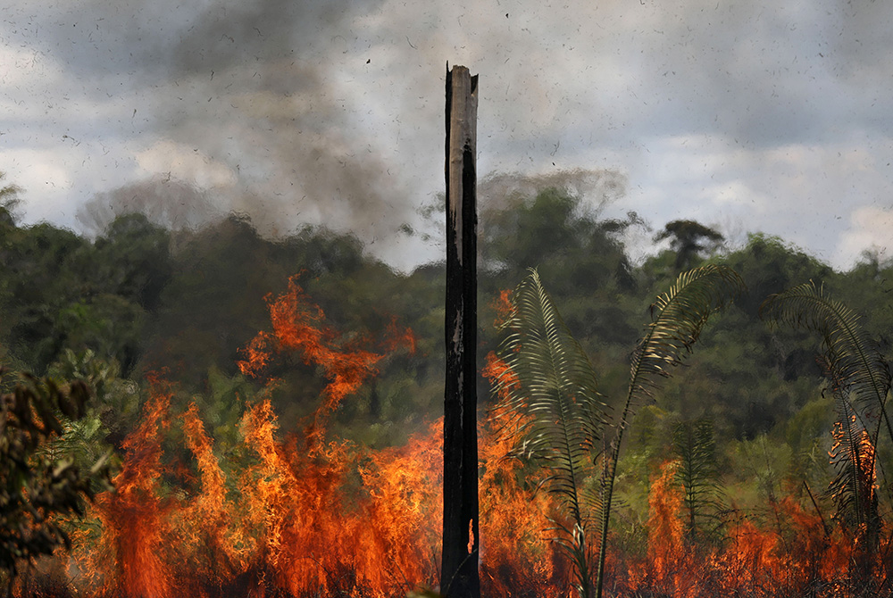 Smoke from a fire rises into the air as trees burn in the Brazilian Amazon rainforest Sept. 1 near Labrea, Brazil. (CNS/Reuters/Bruno Kelly)