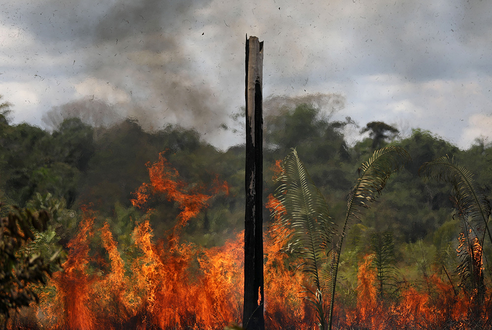Smoke from a fire rises as trees burn in the Brazilian Amazon rainforest Smoke from a fire rises into the air as trees burn in the Brazilian Amazon rainforest Sept. 1 near Labrea, Brazil. (CNS/Reuters/Bruno Kelly)