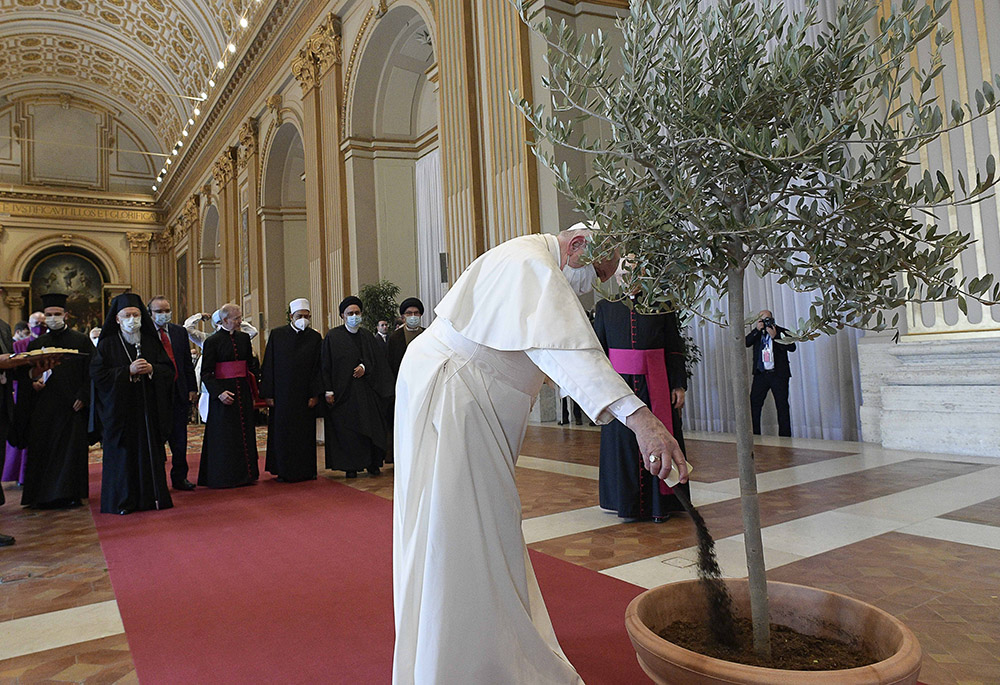 Pope Francis pours dirt into a potted olive tree during the meeting, "Faith and Science: Towards COP26," with religious leaders in the Hall of Benedictions at the Vatican Oct. 4, 2021. (CNS/Vatican Media)