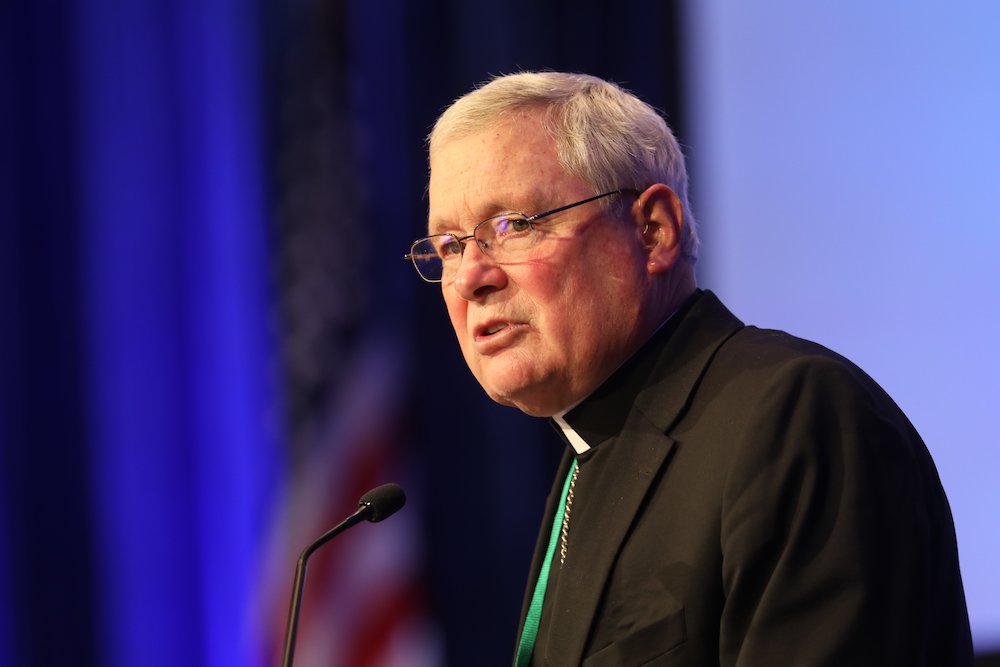 Bishop David Malloy of Rockford, Illinois, chairman of the U.S. Conference of Catholic Bishops' Committee on International Justice and Peace, speaks Nov. 16 during a session of the bishops fall general assembly in Baltimore. (CNS/Bob Roller)