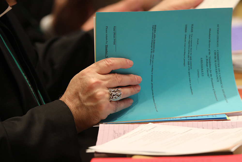 A bishop looks over paperwork during a Nov. 17 session of the fall general assembly of the U.S. Conference of Catholic Bishops in Baltimore. (CNS/Bob Roller)