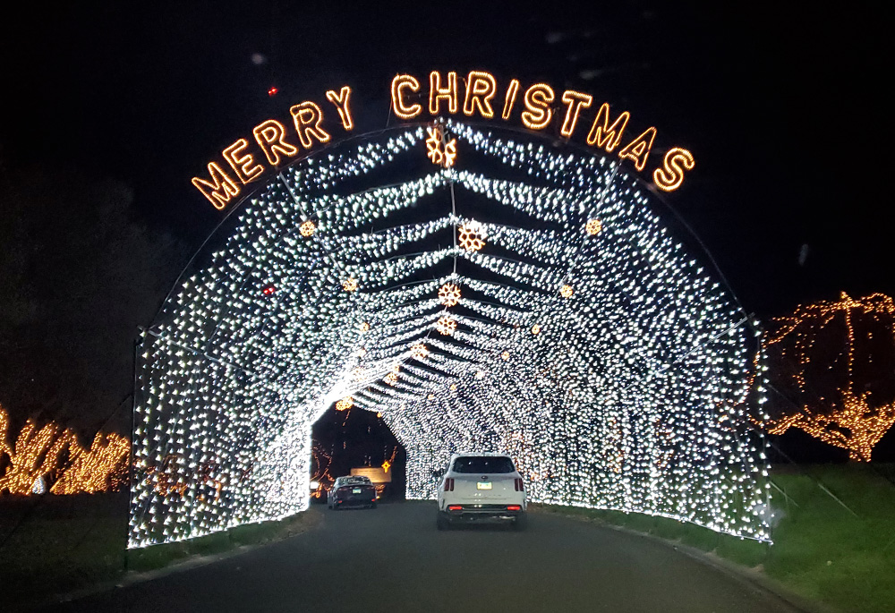 Each year, more than 1.5 million Christmas lights are strung for the Way of Lights display at the National Shrine of Our Lady of the Snows, in Belleville, Illinois. (NCR/Brian Roewe)