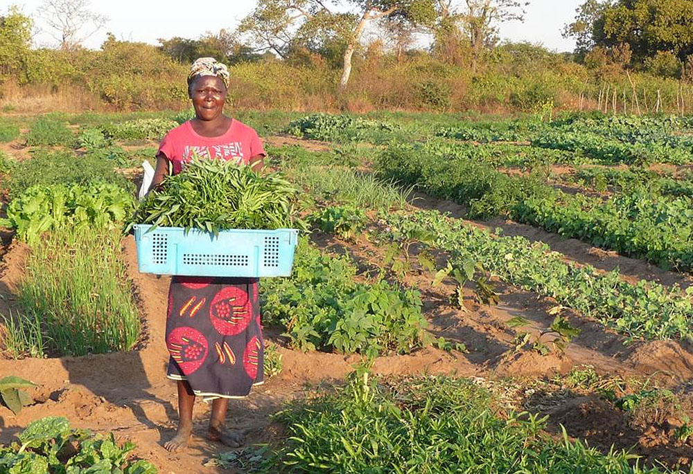 A Zambian woman poses for a photo holding produce cultivated on the Jesuit-run Kasisi Agricultural Training Centre Sept 5, 2014. The center promotes organic, ecologically sustainable, no-till farming for small-scale farmers. (CNS/Courtesy Canadian Jesuits International)
