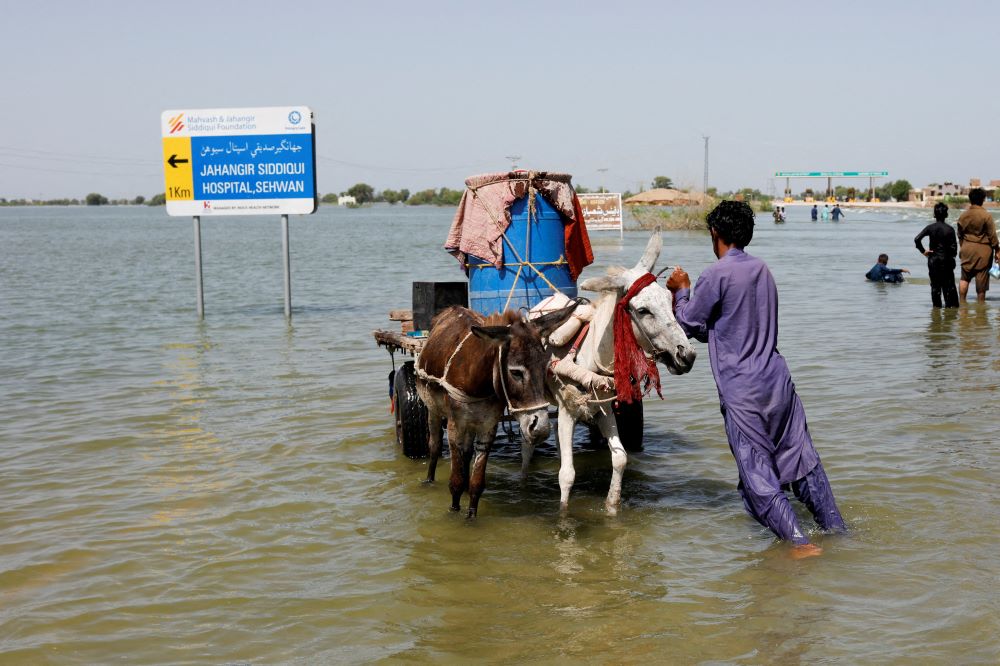 A flood victim pushes his donkey cart on a flooded highway, following rains and floods in Sehwan, Pakistan, Sept. 16, 2022, during a monsoon season impacted by climate change. (CNS/Reuters/Akhtar Soomro)