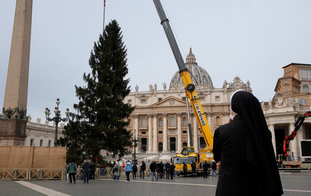 A nun watches as the Christmas tree is positioned in St. Peter's Square at the Vatican Nov. 23, 2021. (CNS/Paul Haring)