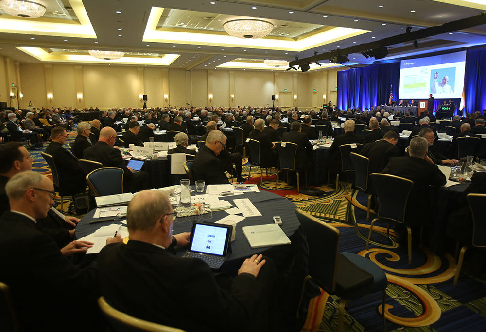 Bishops attend a Nov. 16 session of the fall general assembly of the U.S. Conference of Catholic Bishops in Baltimore. (CNS/Bob Roller)