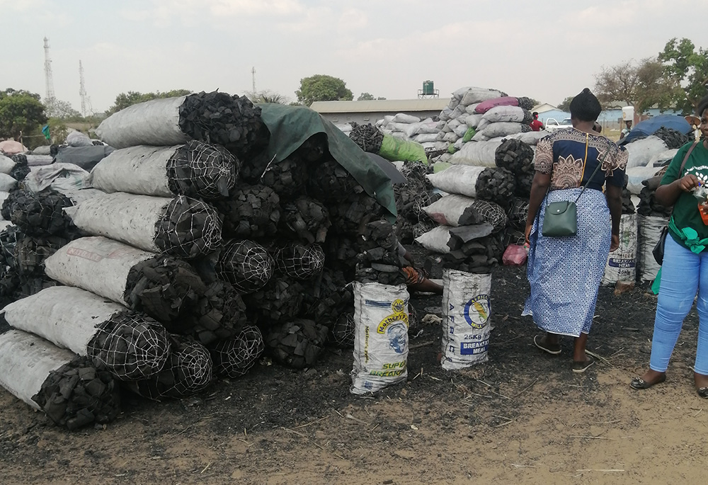 Traders peddle charcoal at Chongwe market in Zambia. Charcoal business is brisk business in Zambia, despite its destruction of forests and contribution to climate change. (Tawanda Karombo)