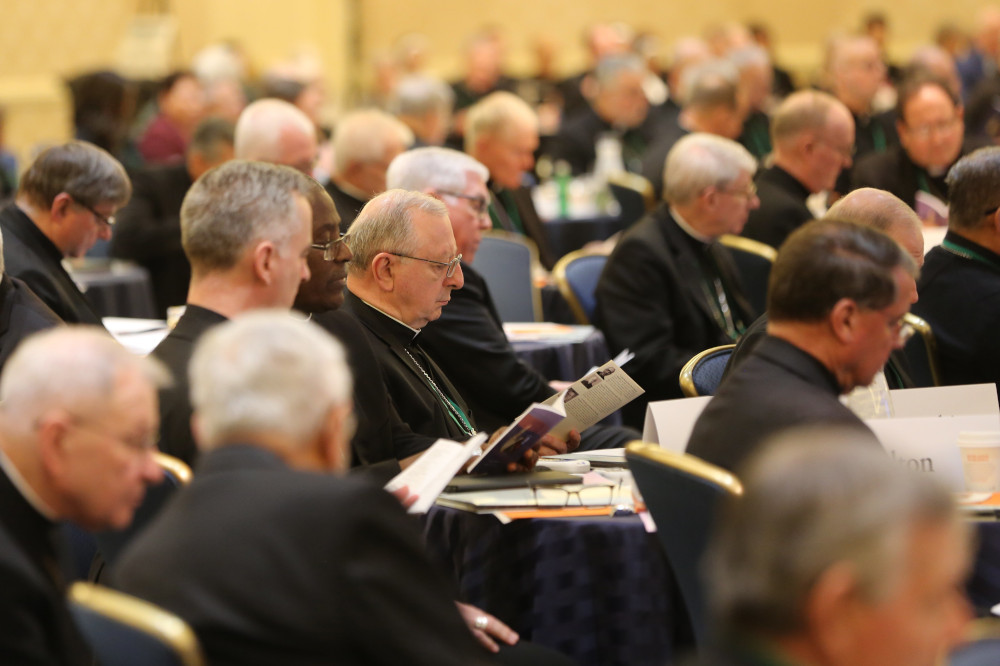 Bishops attend a Nov. 15 session of the fall general assembly of the U.S. Conference of Catholic Bishops in Baltimore. (CNS/Bob Roller)