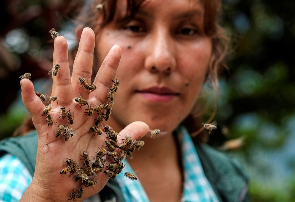 Cynthia Callizaya shows honey bees on her hand at her "Las Orquideas" (The Orchids) sanctuary in Bolivia's Yungas forest Jan. 13, 2021. Callizaya and her husband, zootechnical engineering vet Eric Paredes, are moving honey bees to a sanctuary they created to address a staggering decline in the insects' colonies due to deforestation and coca farming, which has encroached on their habitat. (CNS/Reuters/David Mercado)