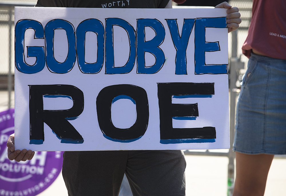 Pro-life demonstrators are seen near the Supreme Court June 15 in Washington. (CNS/Tyler Orsburn)