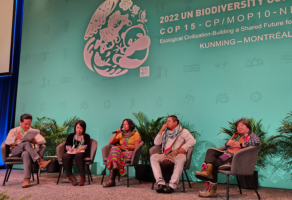 A panel discusses Indigenous contributions to biodiversity conservation at an event Dec. 14 at the United Nations biodiversity conference. Pictured, from left, are Lakpa Nuri Sherpa, Nataly Domicó, Nittaya Earkanna, Harold Rincon Ipuchima, and Joan Carling. (NCR photo/Brian Roewe)