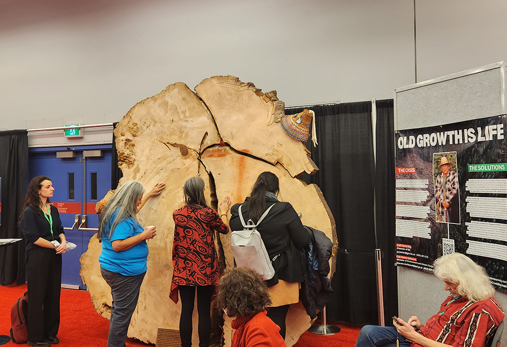 Grandma Losah of the Tla'amin Nation pray with Māori women of New Zealand over a 750-year-old Douglas fir from Vancouver Island in British Columbia, a Canadian province where 97% of old growth forests have been cut down. (NCR photo/Brian Roewe)